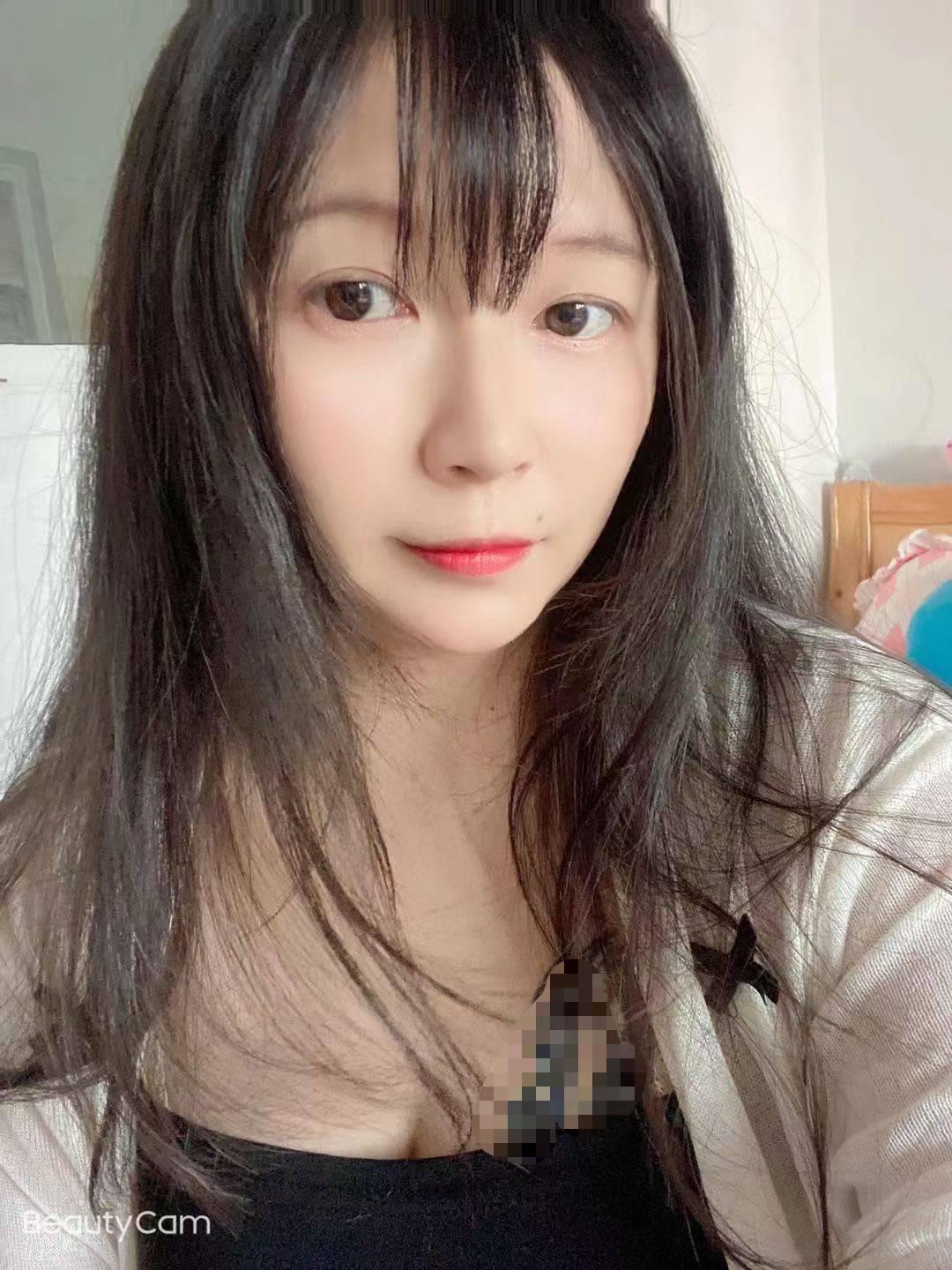 杨家湾漂亮的小猫猫